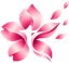 Sakura Labs Emblem